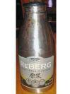 Reberg Aluminum Bottle