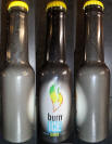 Burn Ice Lemon Aluminum Bottle